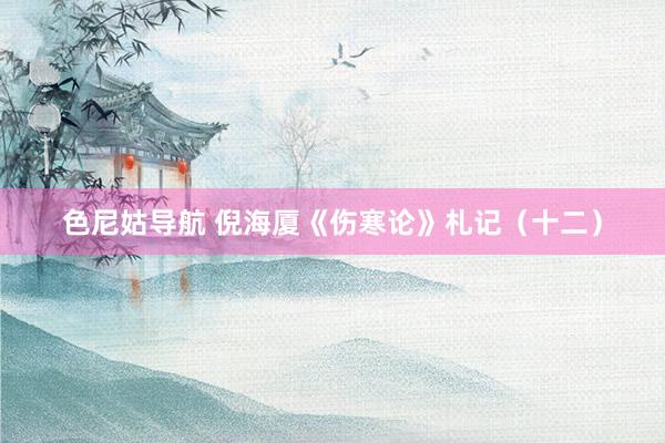 色尼姑导航 倪海厦《伤寒论》札记（十二）