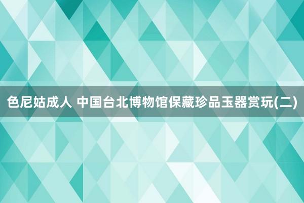 色尼姑成人 中国台北博物馆保藏珍品玉器赏玩(二)
