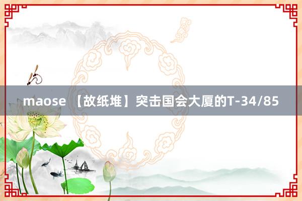 maose 【故纸堆】突击国会大厦的T-34/85