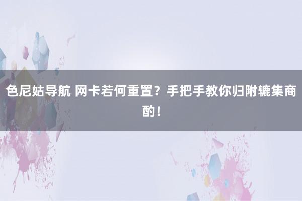 色尼姑导航 网卡若何重置？手把手教你归附辘集商酌！