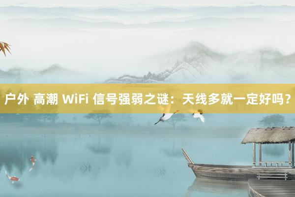 户外 高潮 WiFi 信号强弱之谜：天线多就一定好吗？