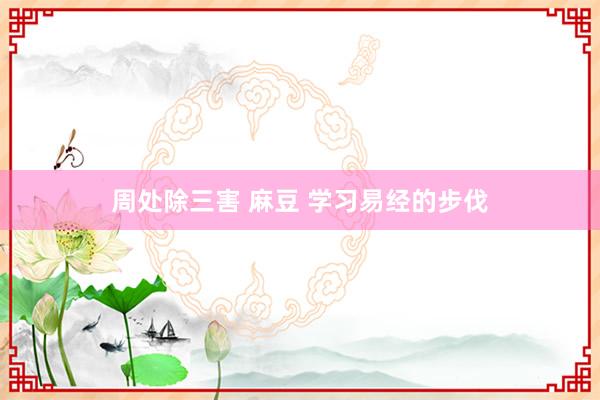 周处除三害 麻豆 学习易经的步伐